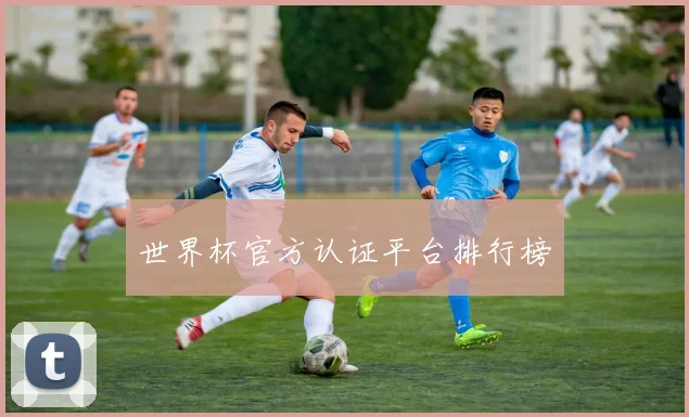 世界杯官方认证平台排行榜