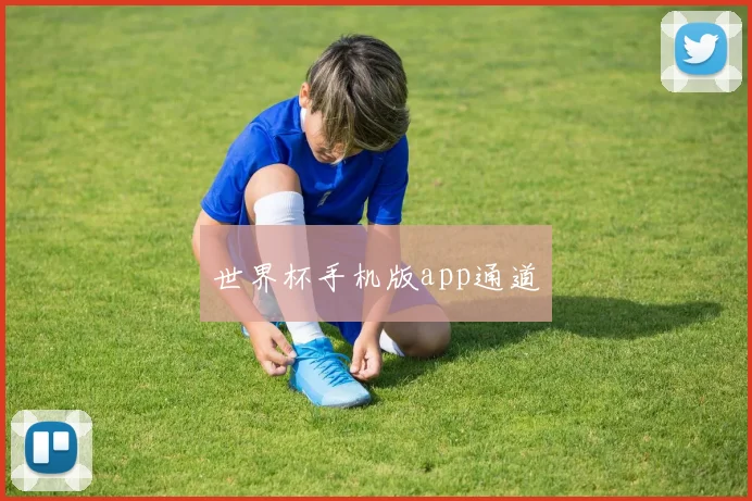 世界杯手机版app通道