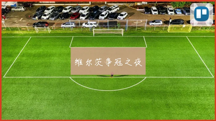 维尔茨争冠之夜