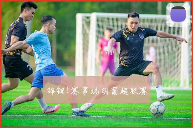 锦鲤!赛事说明葡超联赛