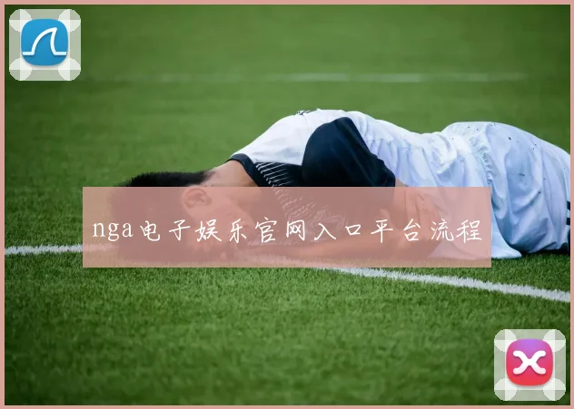 nga电子娱乐官网入口平台流程