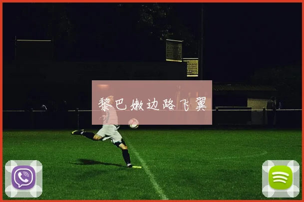 黎巴嫩边路飞翼