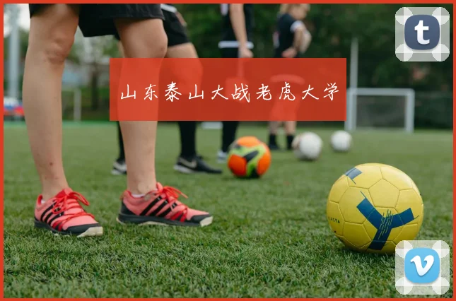 山东泰山大战老虎大学