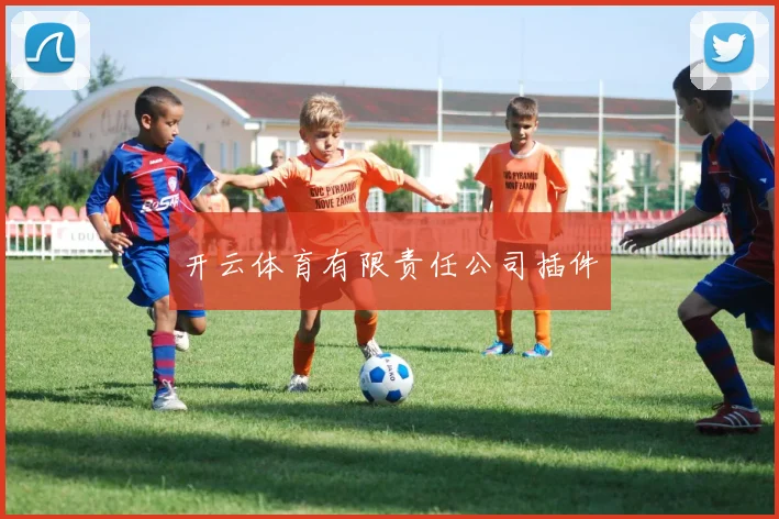 开云体育有限责任公司插件