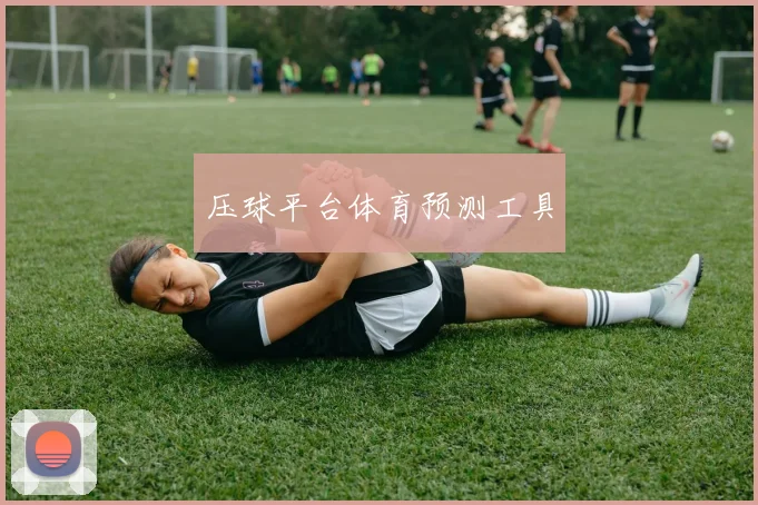 压球平台体育预测工具