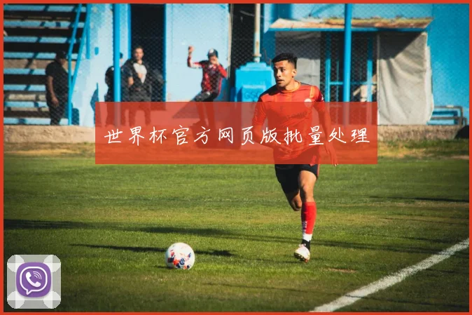 世界杯官方网页版批量处理