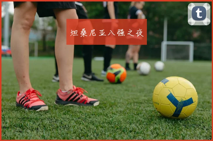 坦桑尼亚八强之夜