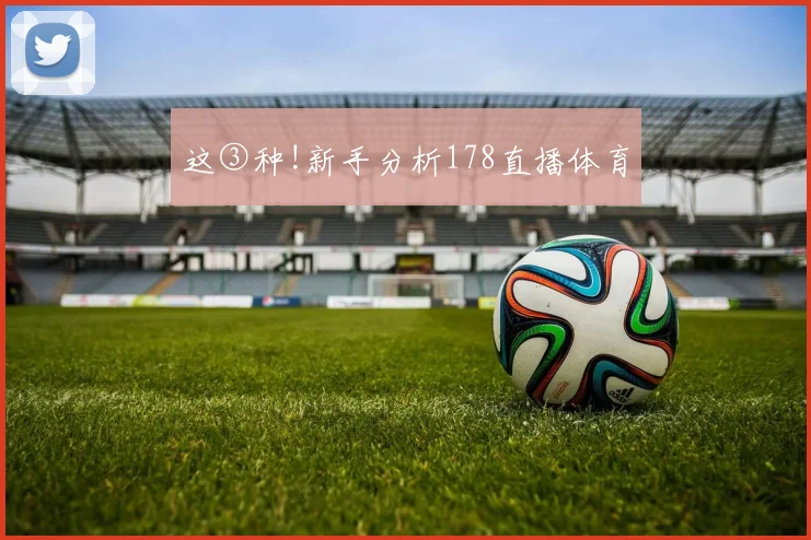 这③种!新手分析178直播体育