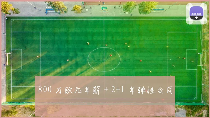 800 万欧元年薪 + 2+1 年弹性合同