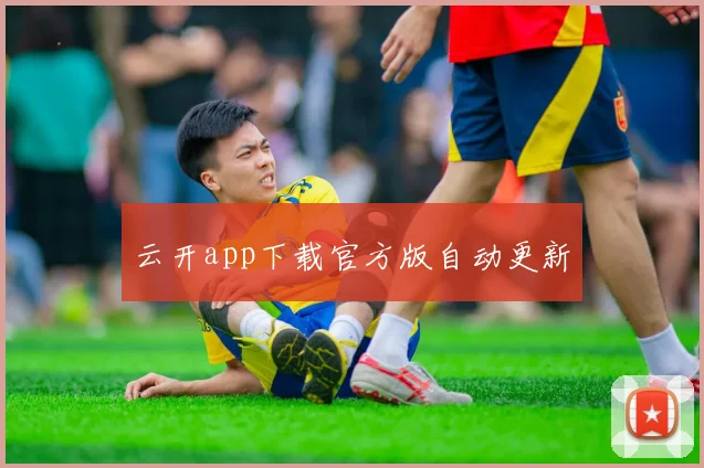 云开app下载官方版自动更新