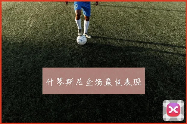 什琴斯尼全场最佳表现