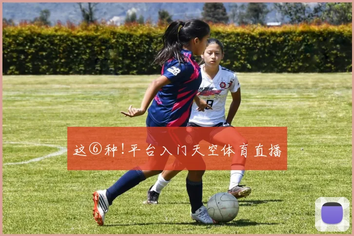 这⑥种!平台入门天空体育直播