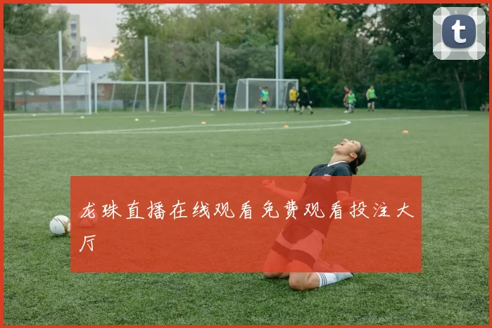 龙珠直播在线观看免费观看投注大厅
