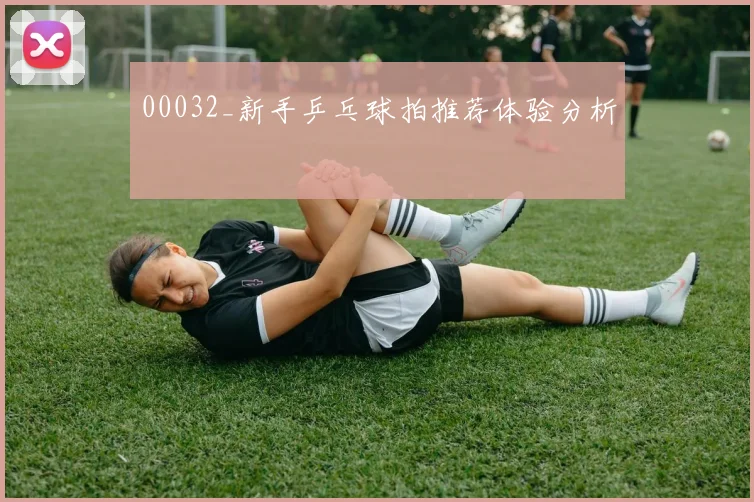 00032_新手乒乓球拍推荐体验分析