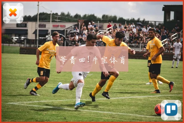 爷青回!牛宝体育