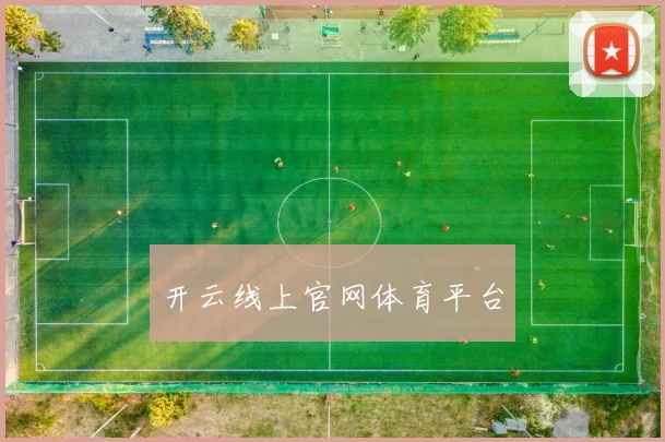 开云线上官网体育平台