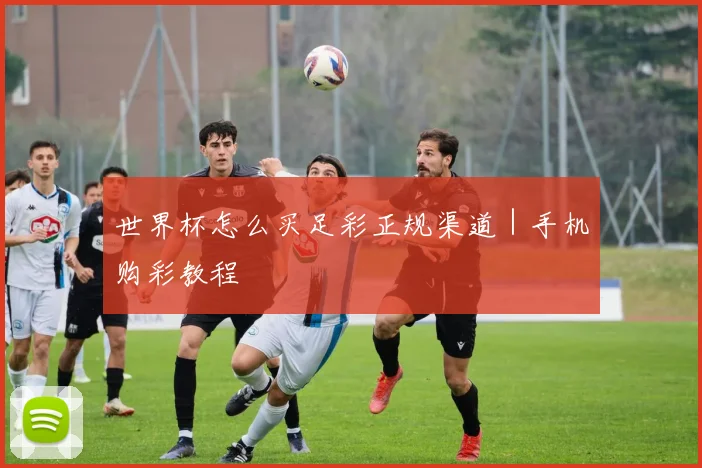 世界杯怎么买足彩正规渠道｜手机购彩教程
