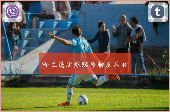 哈兰德进球赔率触发风控