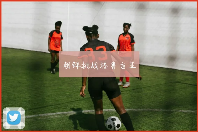 朝鲜挑战格鲁吉亚