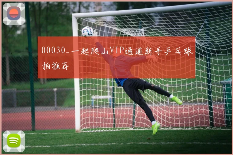 00030_一起爬山VIP通道新手乒乓球拍推荐