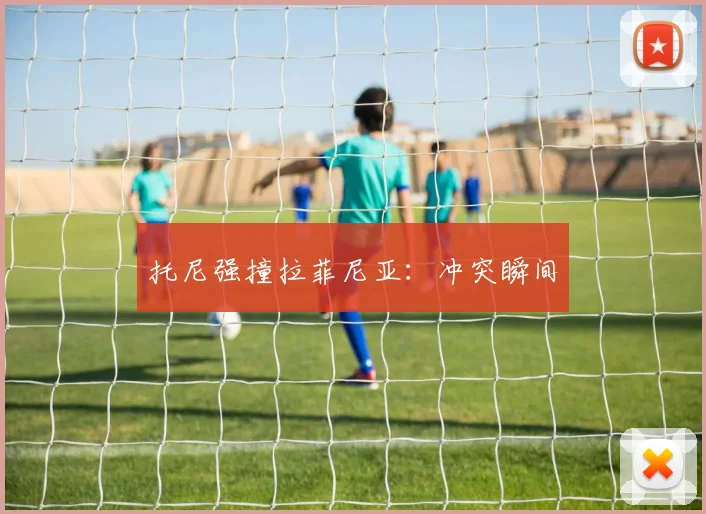 托尼强撞拉菲尼亚：冲突瞬间