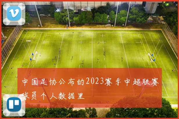 中国足协公布的2023赛季中超联赛球员个人数据里