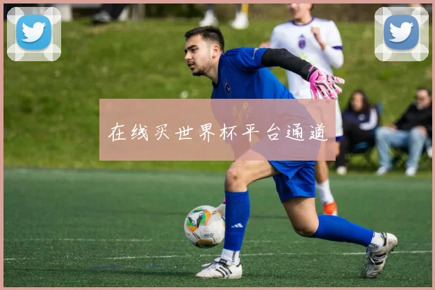 在线买世界杯平台通道