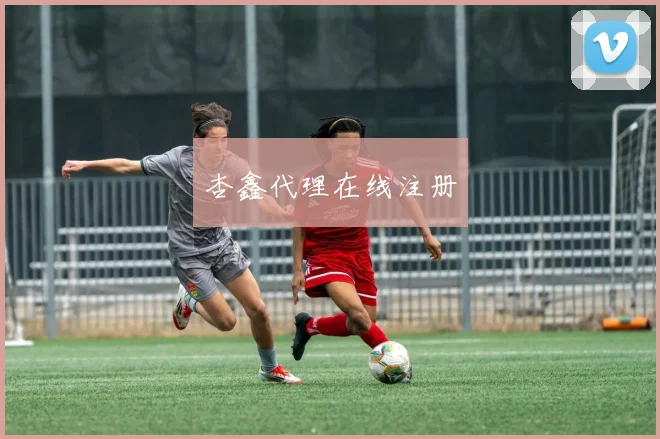 杏鑫代理在线注册