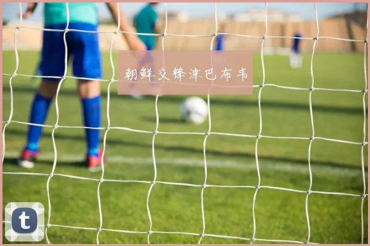 朝鲜交锋津巴布韦