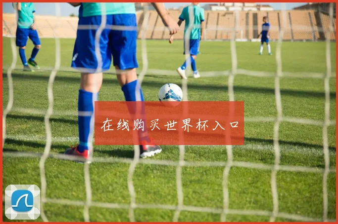 在线购买世界杯入口