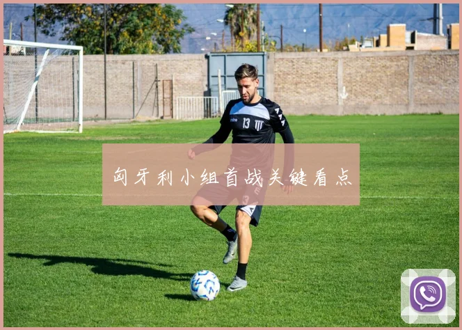 匈牙利小组首战关键看点