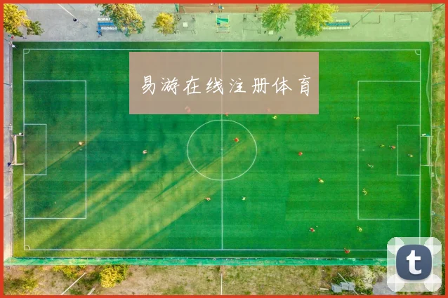 易游在线注册体育