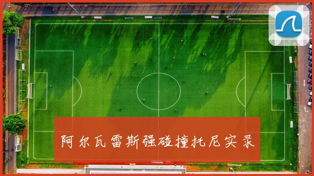 阿尔瓦雷斯强碰撞托尼实录