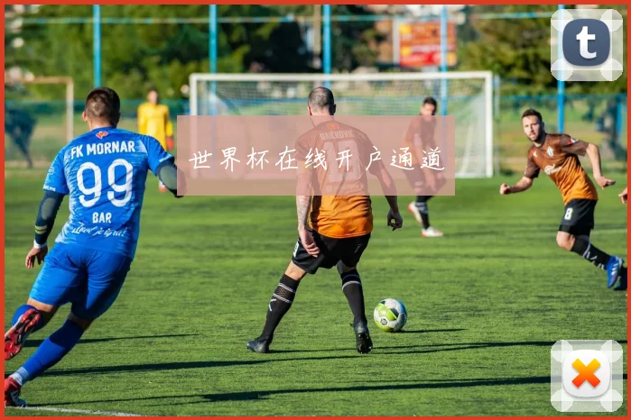 世界杯在线开户通道