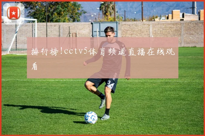 排行榜!cctv5体育频道直播在线观看