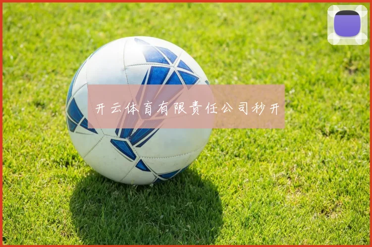 开云体育有限责任公司秒开