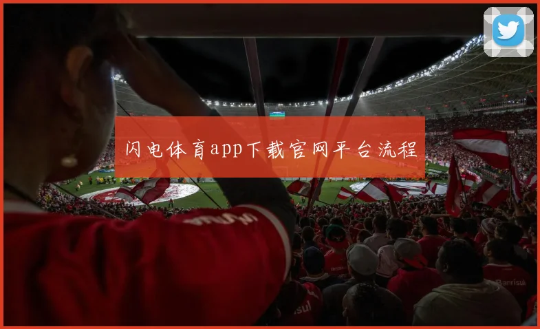 闪电体育app下载官网平台流程