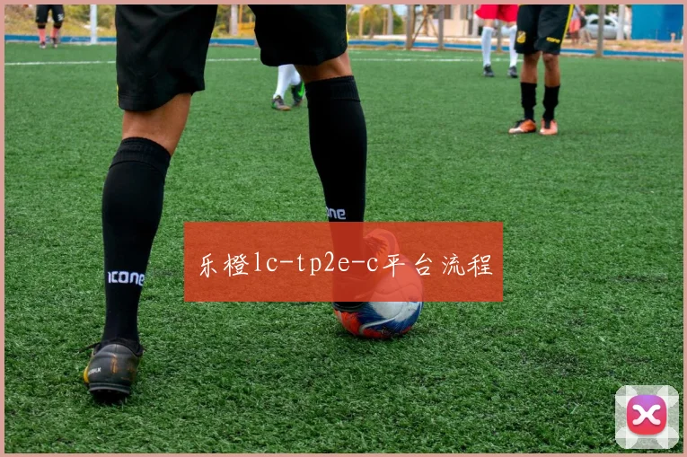 乐橙lc-tp2e-c平台流程