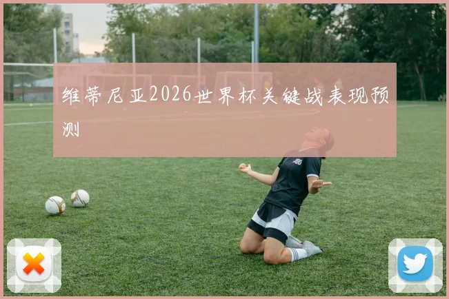 维蒂尼亚2026世界杯关键战表现预测
