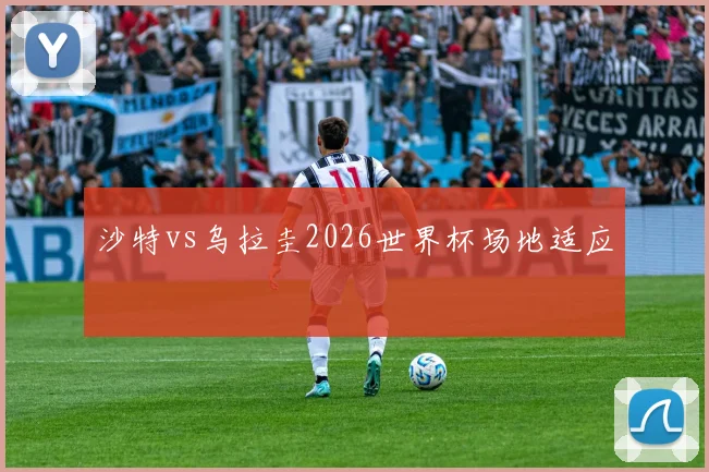 沙特vs乌拉圭2026世界杯场地适应