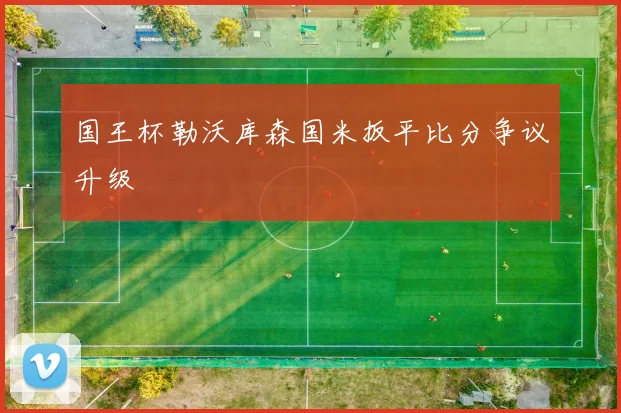 国王杯勒沃库森国米扳平比分争议升级