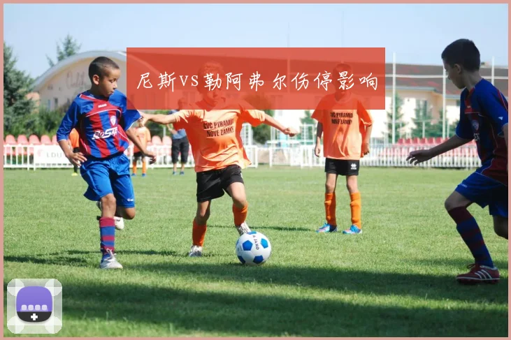 尼斯vs勒阿弗尔伤停影响
