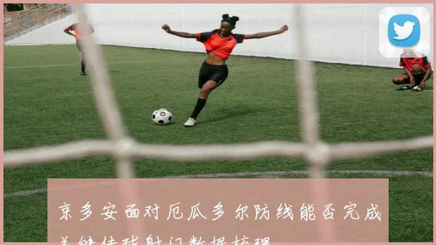 京多安面对厄瓜多尔防线能否完成关键传球射门数据梳理