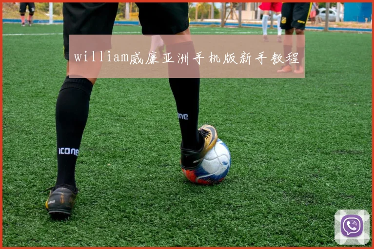 william威廉亚洲手机版新手教程